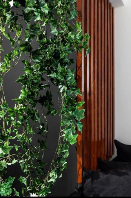 Novel Acropolis Apartment Афіни Екстер'єр фото