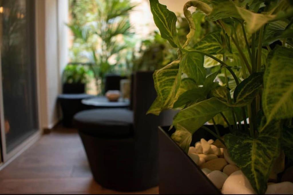 Novel Acropolis Apartment Афіни Екстер'єр фото